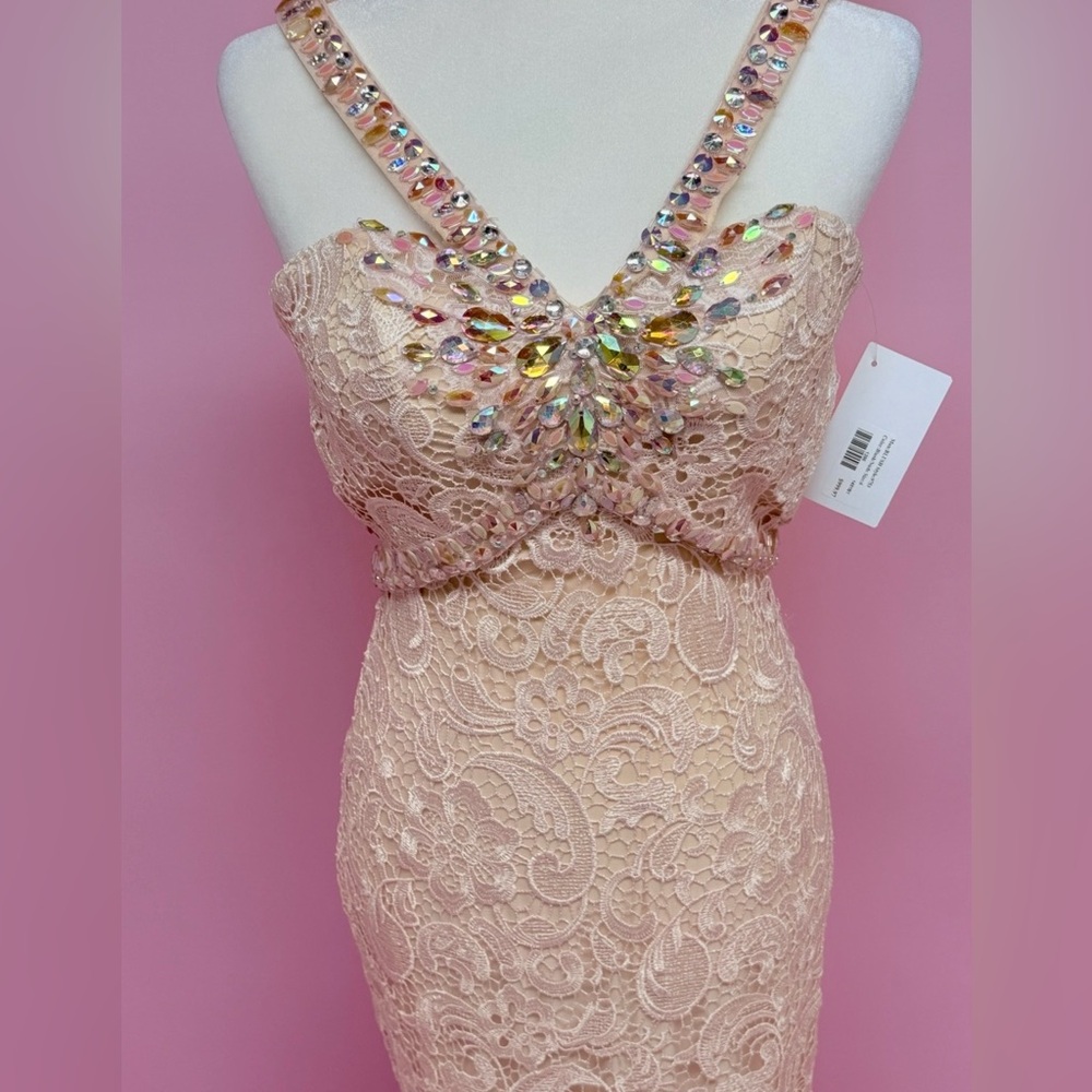 Stunning Lace Evening Gown - Picture 4 of 16